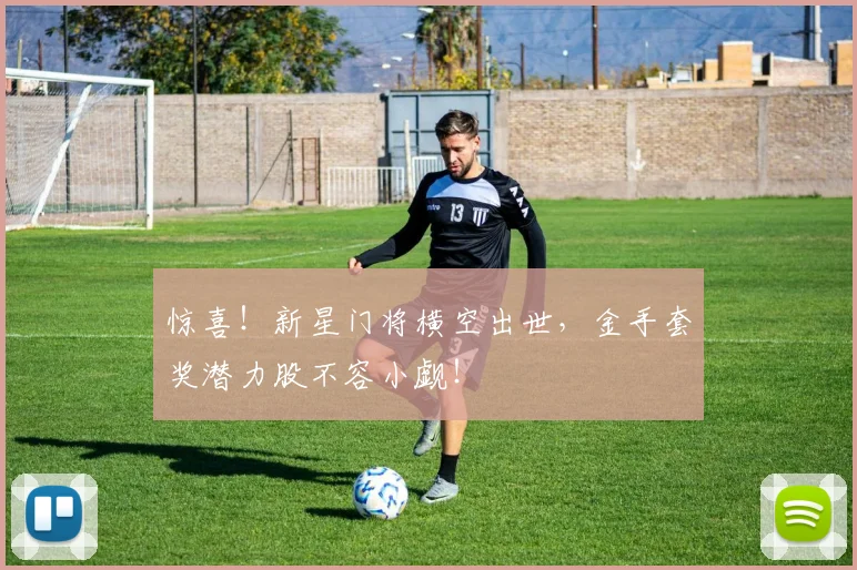 惊喜！新星门将横空出世，金手套奖潜力股不容小觑！