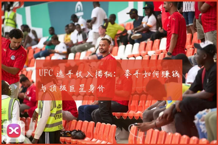 UFC 选手收入揭秘：拳手如何赚钱与顶级巨星身价